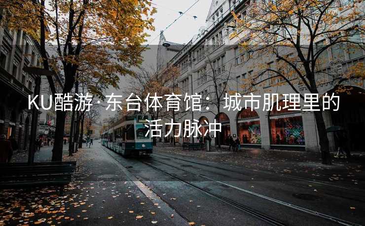 KU酷游·东台体育馆：城市肌理里的活力脉冲